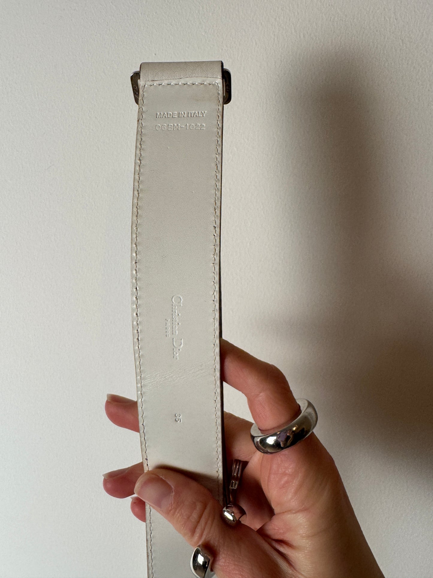 Dior Saddle Belt Bag — 2005