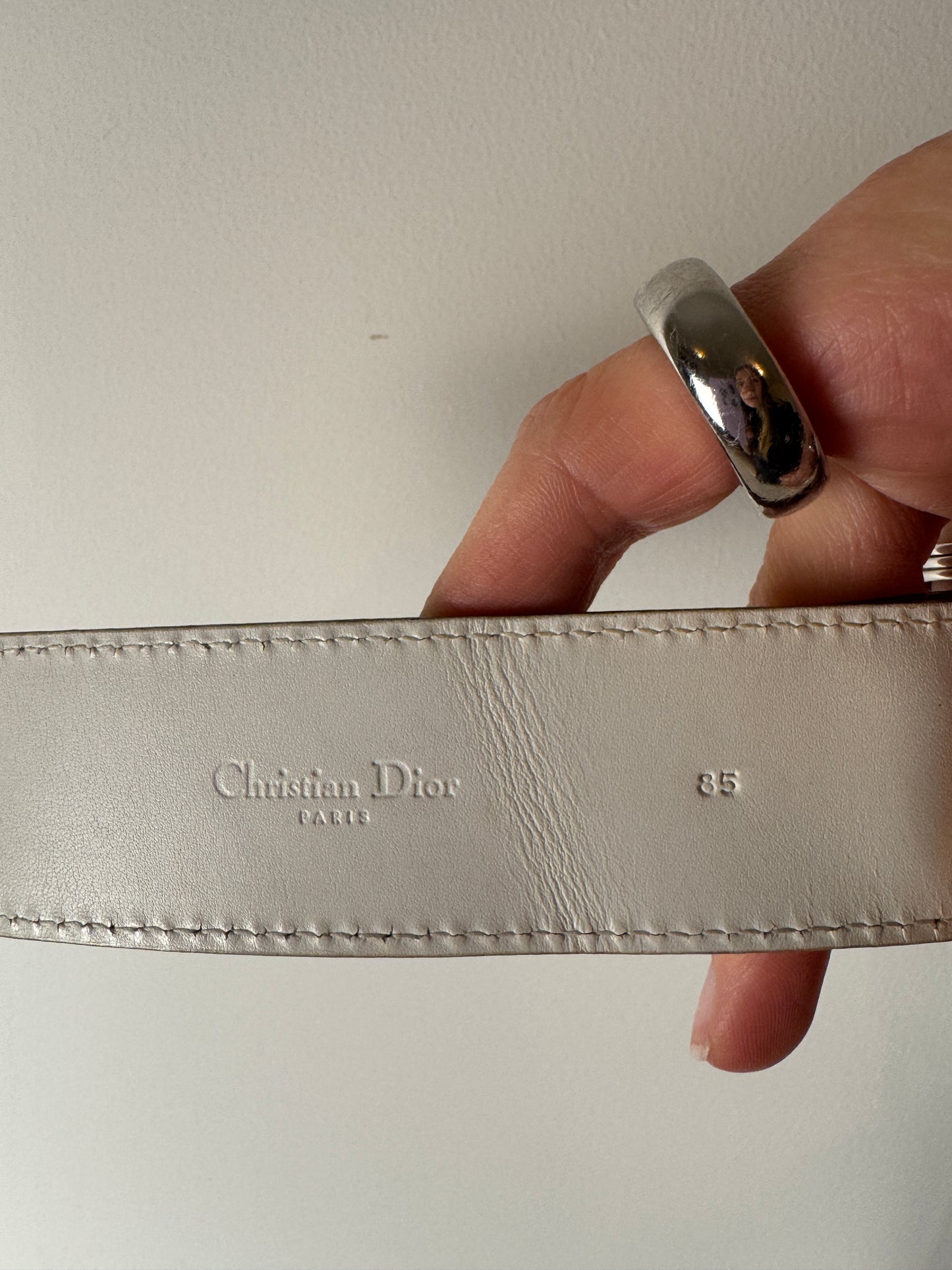 Dior Saddle Belt Bag — 2005