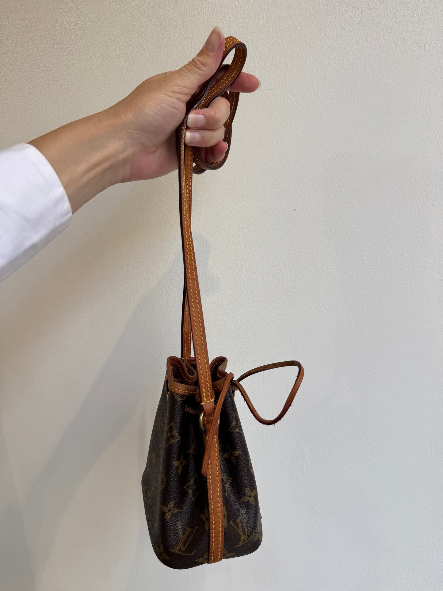 Louis Vuitton Monogram Nano Noé